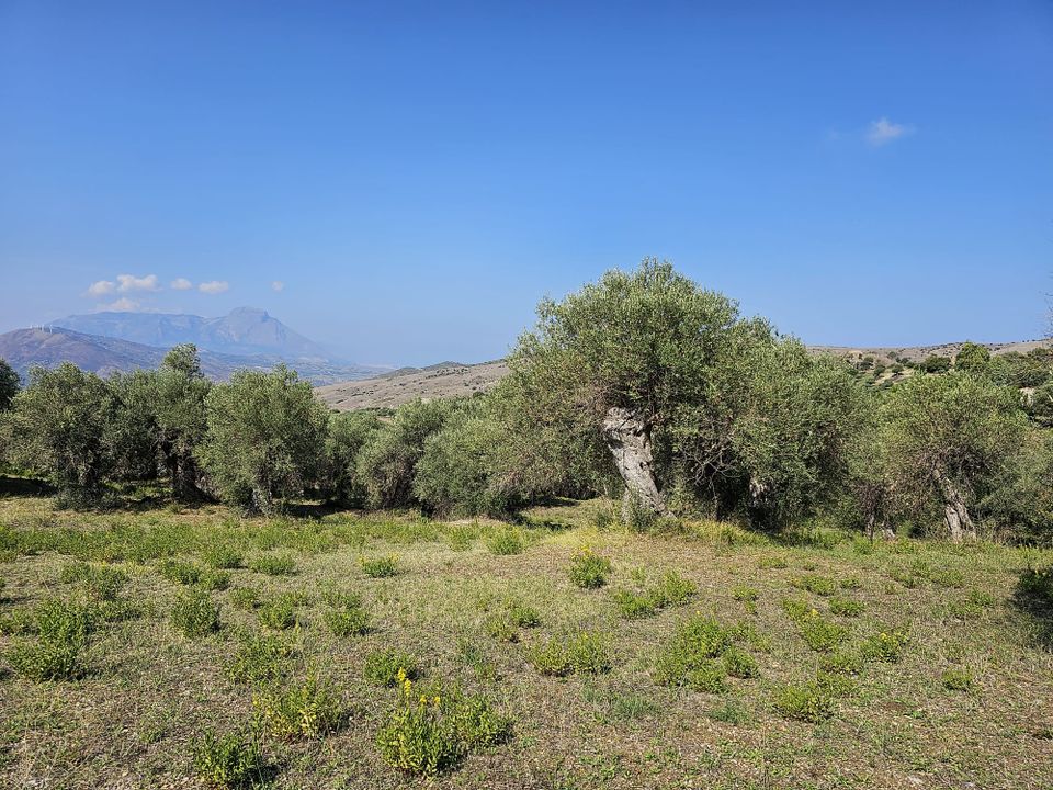 Helårsgrund i Collesano, Palermo - foto 5